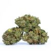 AK 47 Strain