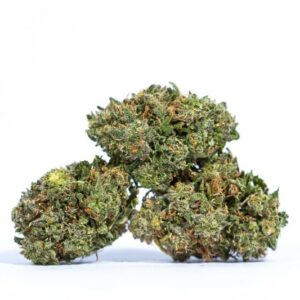 AK 47 Strain