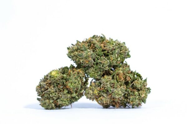 AK 47 Strain