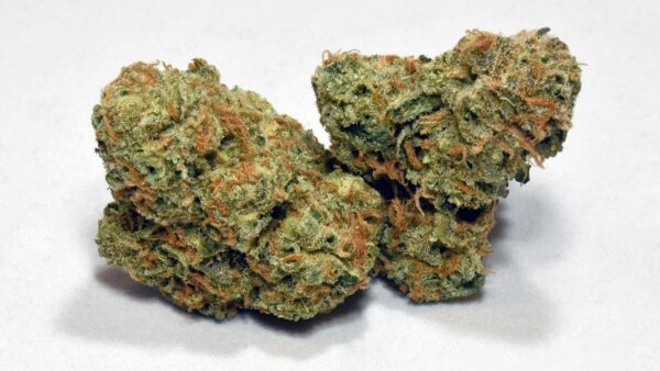 Jack Herer Strain