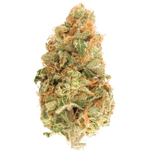 Lemon Sour Diesel Strain